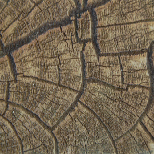 Marcature in rilievo, texture legno di testa su MDF