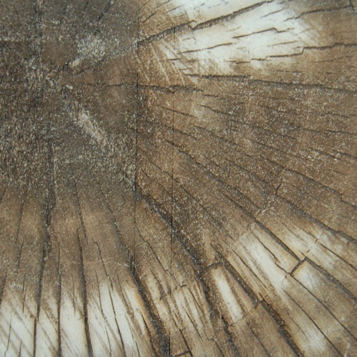 Marcature in rilievo, texture legno di testa su MDF