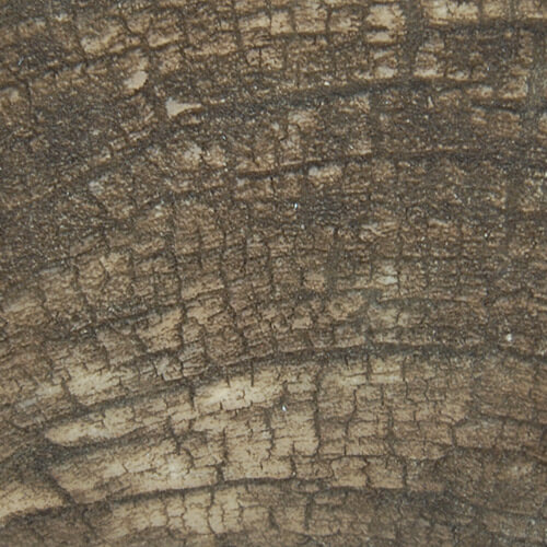 Marcature in rilievo, texture corteccia su MDF