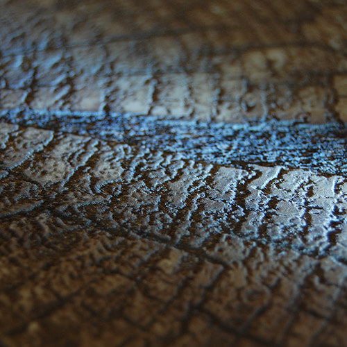  Marcature in rilievo, texture legno di testa su MDF